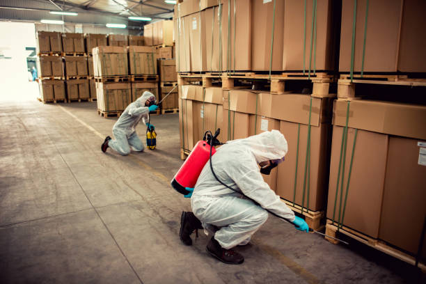 Best Wasp Removal Services  in Green Hill, TN