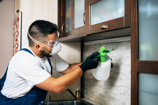 Best Exterminator Services  in Green Hill, TN