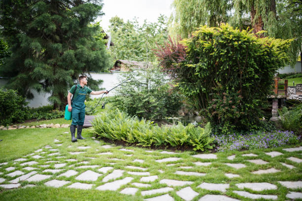 Wasp Removal Services in Green Hill, TN