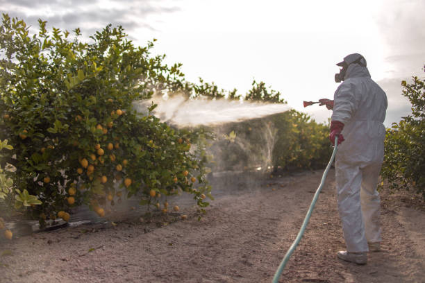 Best Commercial Pest Control Services  in Green Hill, TN