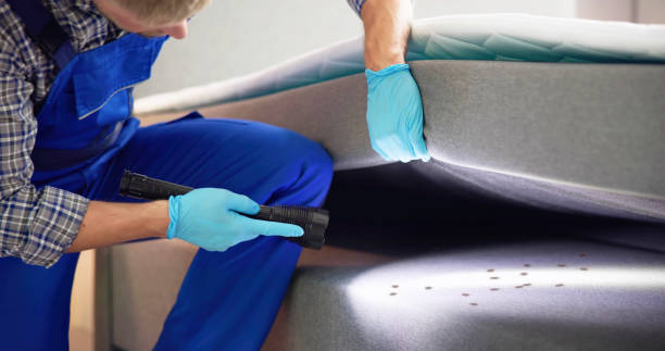 Best Best Pest Control Companies  in Green Hill, TN