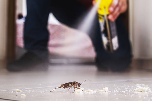 Best Pest Removal Services  in Green Hill, TN