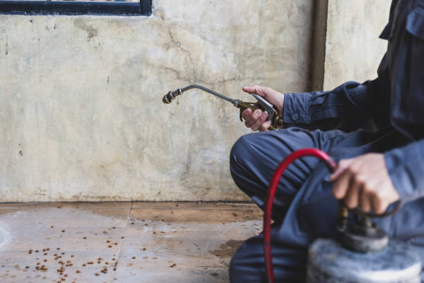 Best Termite Control Services  in Green Hill, TN