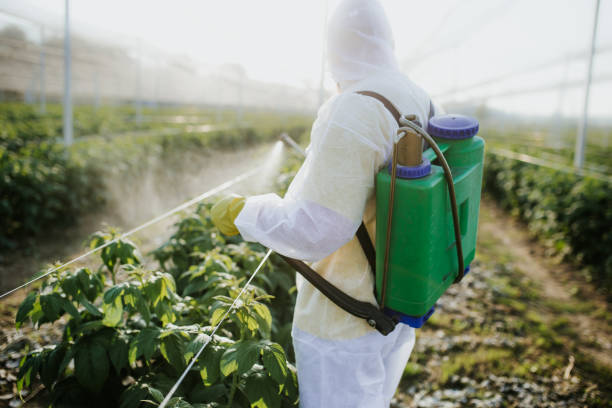 Best Pest Prevention Services  in Green Hill, TN